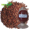Grape Seed Extract